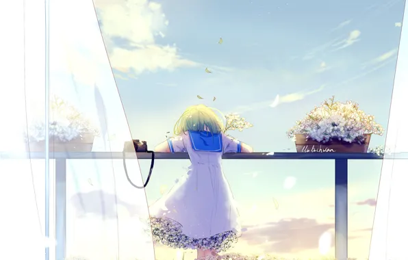 Picture the sky, flowers, girl, the curtain