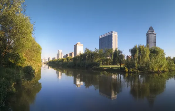 City, trees, water, park, lake, plants, building, cityscape