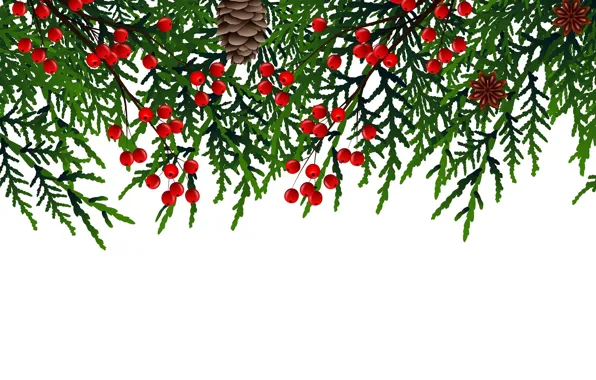 Vector, bumps, Vector graphics