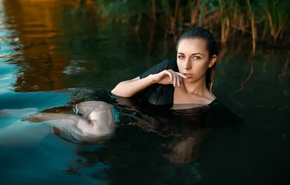 Sponge, the beauty, in the water, finger, Albert Forest, Kate Teal