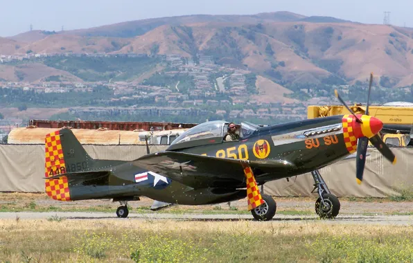Fighter, American, North American, during the Second world war, P-51 &ampquot;Mustang&ampquot;