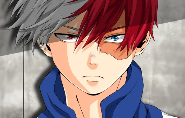 Look, guy, Boku No Hero Academy, Todoroki Shoto, My heroic academia