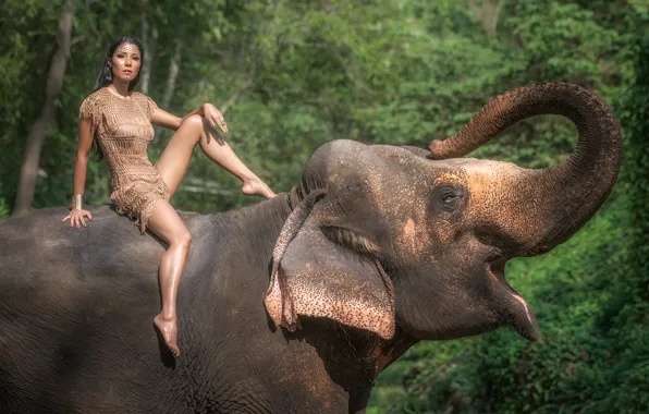 Picture summer, look, girl, nature, face, elephant, dress, legs