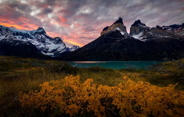 Autumn, mountains, lake, foliage, the bushes, pond, Andes, Patagonia