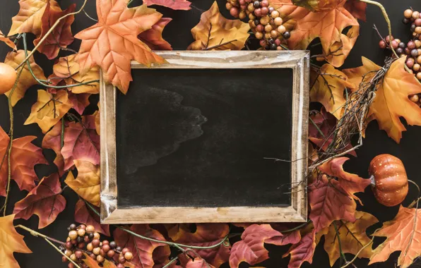 Picture autumn, leaves, background, tree, Board, colorful, wood, background