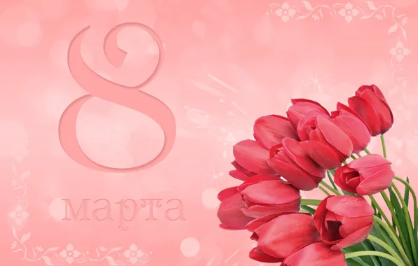 Tulips, Holiday, March 8