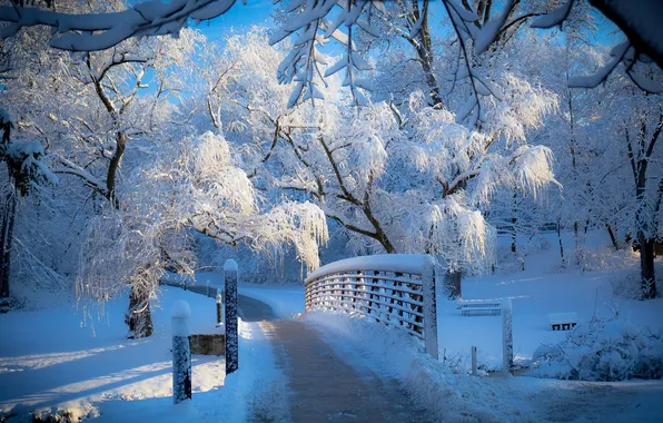 Picture winter, frost, snow, bridge, nature, Park