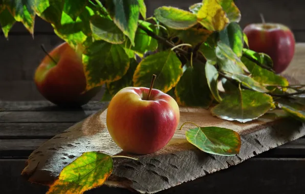 Leaves, apples, Board, branch, fruit, Sergey Pounder