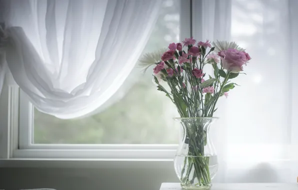 Flowers, window, vase