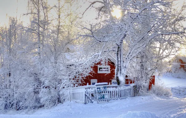 Winter, snow, trees, nature, house, photo