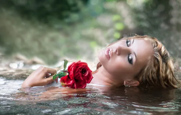 Picture water, girl, rose