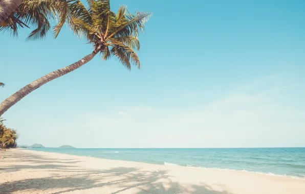 Picture sand, sea, wave, beach, summer, the sky, palm trees, shore