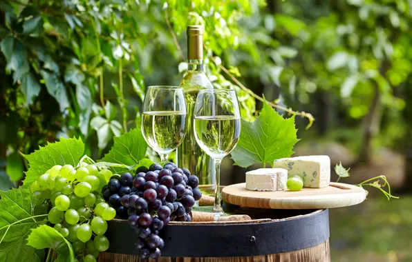 Wine, cheese, grapes, barrel, bytylka