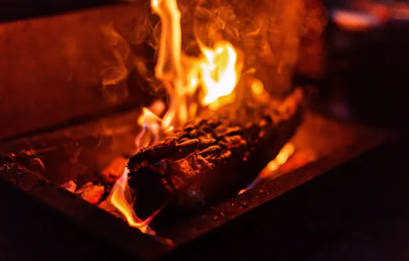 Nature, fire, the evening, the fire, wood