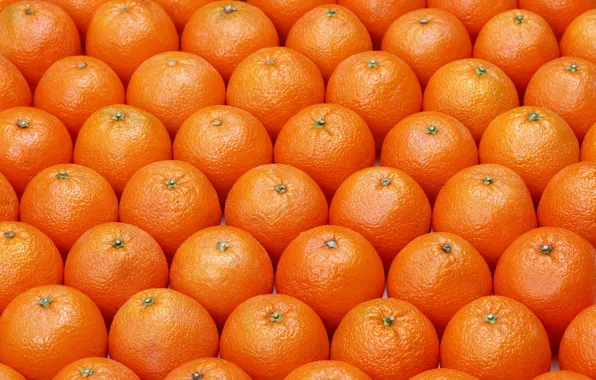 Pattern, fruits, oranges, ordered
