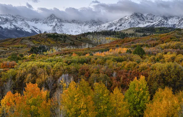 Autumn, forest, clouds, snow, trees, mountains, fog, tops