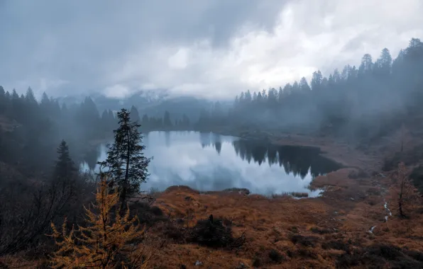 Picture fog, lake, autumn