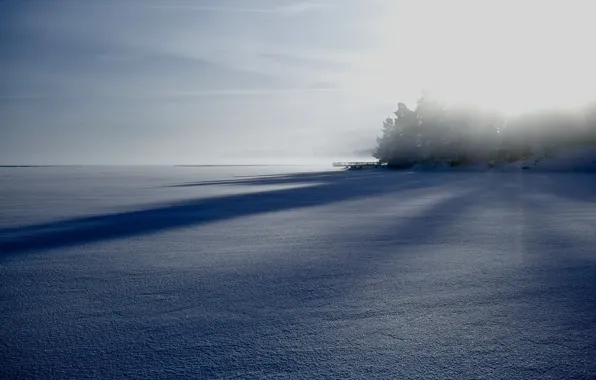 Picture winter, field, fog
