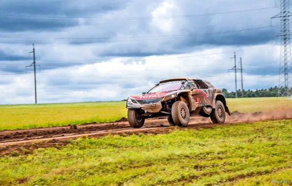 Sport, Speed, Race, Dirt, Peugeot, Lights, Red Bull, Rally