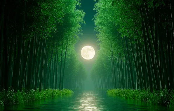 The sky, night, river, Wallpaper, the moon, bamboo, art, wallpaper
