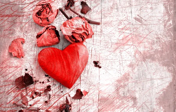 Rose, petals, heart