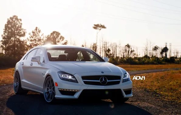 Picture road, white, the sun, trees, Mercedes-Benz, sedan, Mercedes, AMG