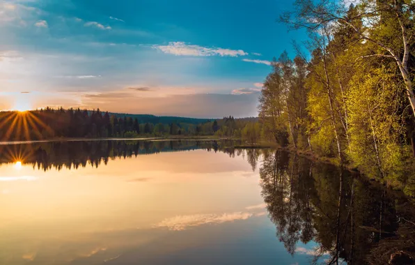 Picture autumn, trees, reflection, shore, birch, pond