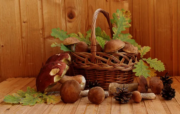 Autumn, mushrooms, still life, Borovik, boletus