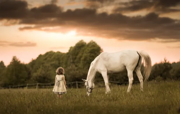 Picture horse, meadow, girl