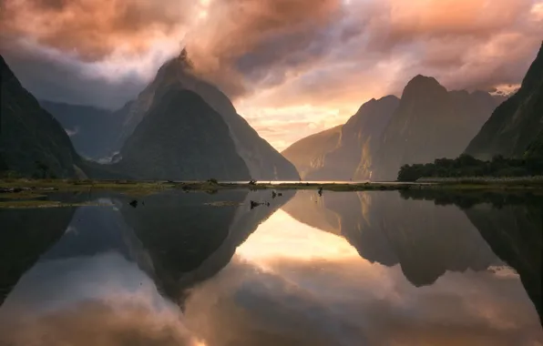 Picture mountains, Bay, New Zealand, the fjord, Milford Sound, Milford
