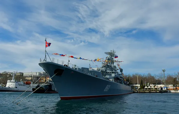 Ship, Sevastopol, guard, Okay, cipher puffin, проект1135