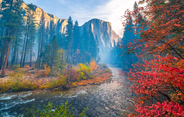 Autumn, trees, mountains, river, CA, California, Yosemite Valley, Yosemite national Park