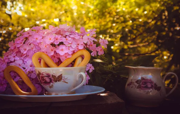 Picture flowers, nature, Cup