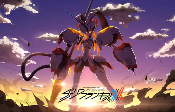 Sunset, Strelitzia, Darling In The Frankxx, Cute in France, Franks, Strelitzia