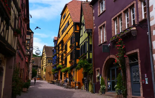 Picture street, France, home, Riquewihr