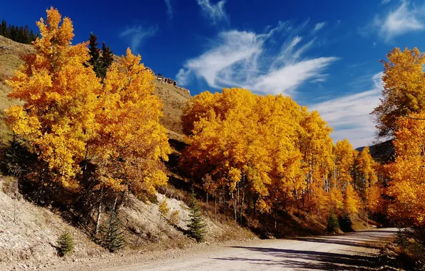 Road, autumn, the sky, trees, mountains, slope