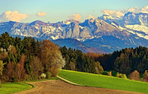 Road, field, forest, the sky, clouds, snow, trees, mountains