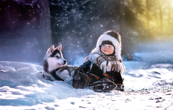 Picture winter, light, child, dog, boy, puppy, husky