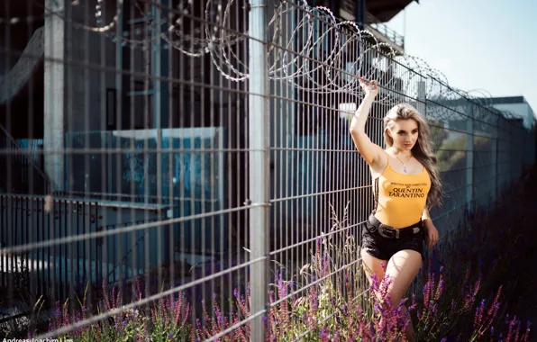 Picture grass, girl, the sun, flowers, model, the fence, shorts, portrait