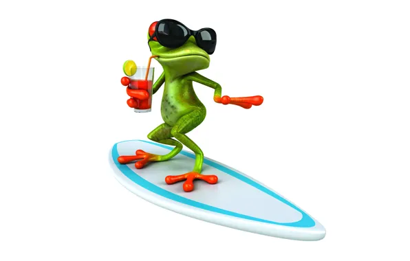 Frog, frog, surf, funny, glasses