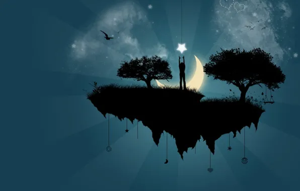 Picture trees, the moon, vector, Island
