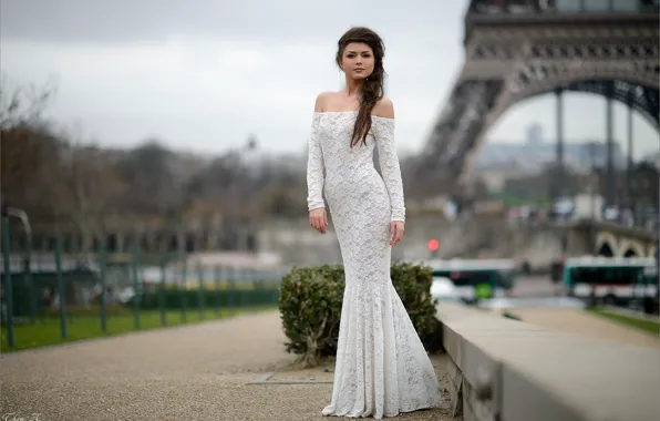 Look, the city, Paris, dress, Eiffel tower