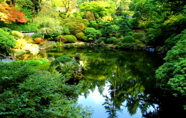 Nature, pond, photo, garden, USA, the bushes, Oregon, Portland