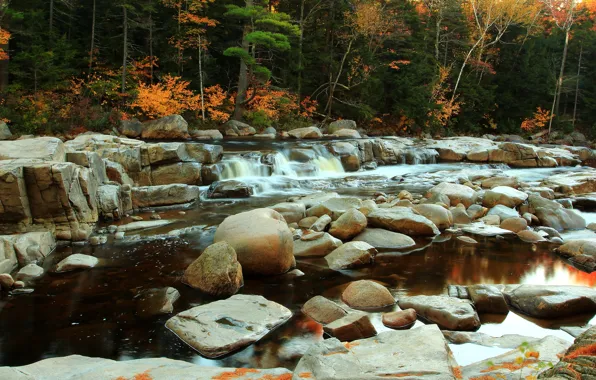 Autumn, water, trees, river, stones, stream, river, trees