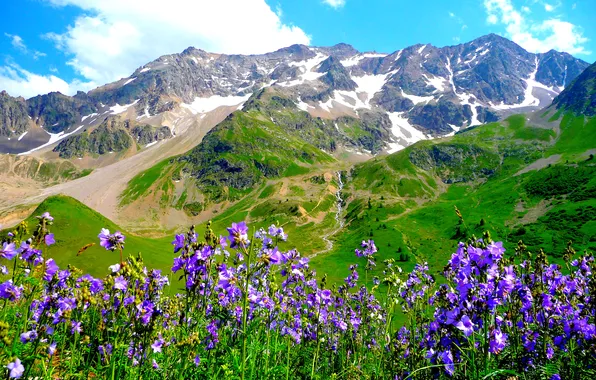 Picture the sky, clouds, flowers, mountains, Alps