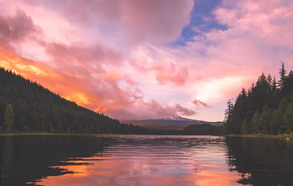 Picture the sky, clouds, trees, mountains, pond