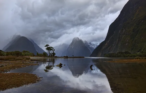 Picture the sky, mountains, clouds, morning, New Zealand, the fjord, Milford Sound, South Island