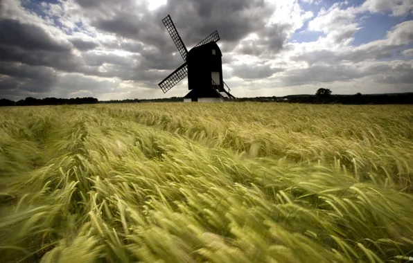 Picture greens, field, grass, trees, nature, mill, spinning
