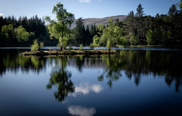 Forest, trees, lake, reflection, Scotland