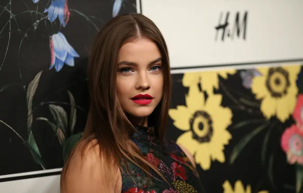 Look, girl, pose, model, makeup, hairstyle, hair, Barbara Palvin